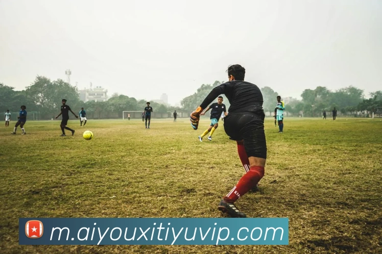 多媒体互动体验